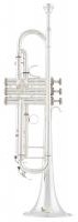 Труба Bb Arnolds&Sons ATR - 8837*S -Terra-
