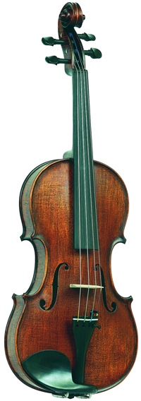 Скрипка Gliga Gems1 AW-V014-S