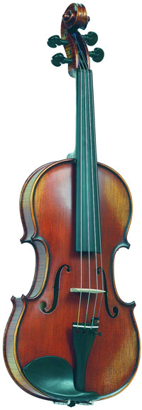 Скрипка Gliga Genova PG-V014-A