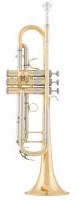 Труба Bb Arnolds&Sons ATR - 8837G* -Terra-