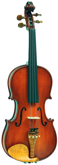 Скрипка Gliga Gloria SG-V014