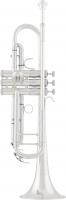 Труба Bb Arnolds&Sons ATR - 8837G*S -Terra-