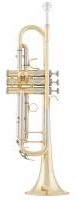Труба Bb Arnolds&Sons ATR - 8837* -Terra-