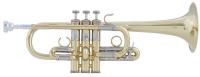 VINCENT BACH Eb-Soprano Trumpet AE190 Artisan