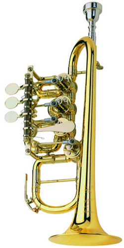 Роторная труба-пикколо Bb/A Scherzer JS8112G-1-0D