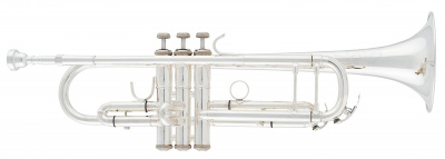 Труба Bb Arnolds&Sons ATR - 8837GS -Terra-