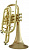 Корнет Bb CarolBrass CCR-3880-GSS-Bb-SLB