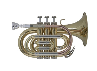 Труба-мини  "Bb" BACH PT-650 (Пр-во КНР) идеальный инструмент для детей, материал-желтая медь, тампаковая мундштучная трубка, покрытие-прозрачный лак, пистоны Монеля, кольцо на подстроечном кроне, мельхиоровые отводные трубки, мензура 11,68мм, раструб 124