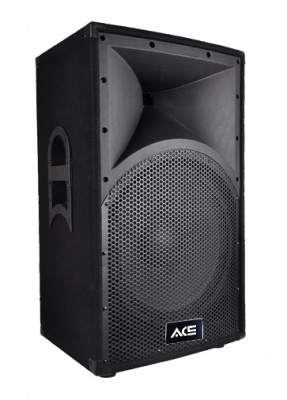 TA-12 Пассивная акустическая система, 300Вт, Ace Audio