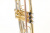 ROY BENSON TR-202 Bb труба (цвет золото)