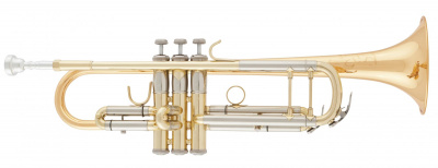 Труба Bb Arnolds&Sons ATR - 8837G* -Terra-