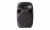 SPA-15 Акустическая система активная, MP3, SD, USB, BT, 100Вт, Leem