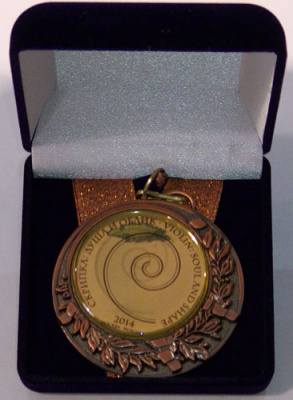 Электроскрипка Skyinbow S1W