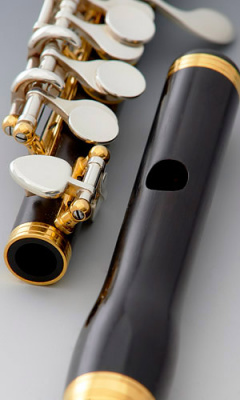 Флейта-пикколо Bulgheroni PB-601M