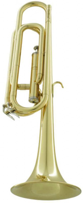 Горн G/D CarolBrass CBG-G/D