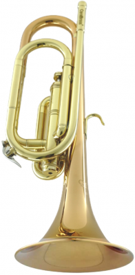 Горн Bb/G CarolBrass CBG-Regulation RSM-Bb/G