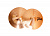 0000665014 PST 5 Band Pair Тарелки оркестровые 14'', пара, Paiste