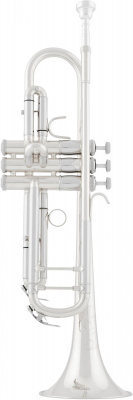 Труба Bb Arnolds&Sons ATR - 8837G*S -Terra-