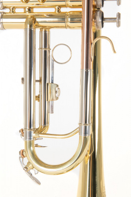 ROY BENSON TR-202 Bb труба (цвет золото)